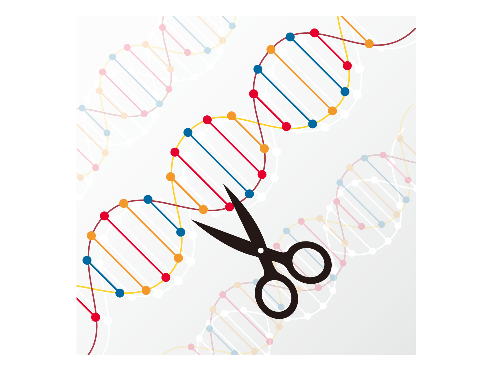 死因の人類史」と技術の進歩｜高校倫理2章1節4│けうブログ