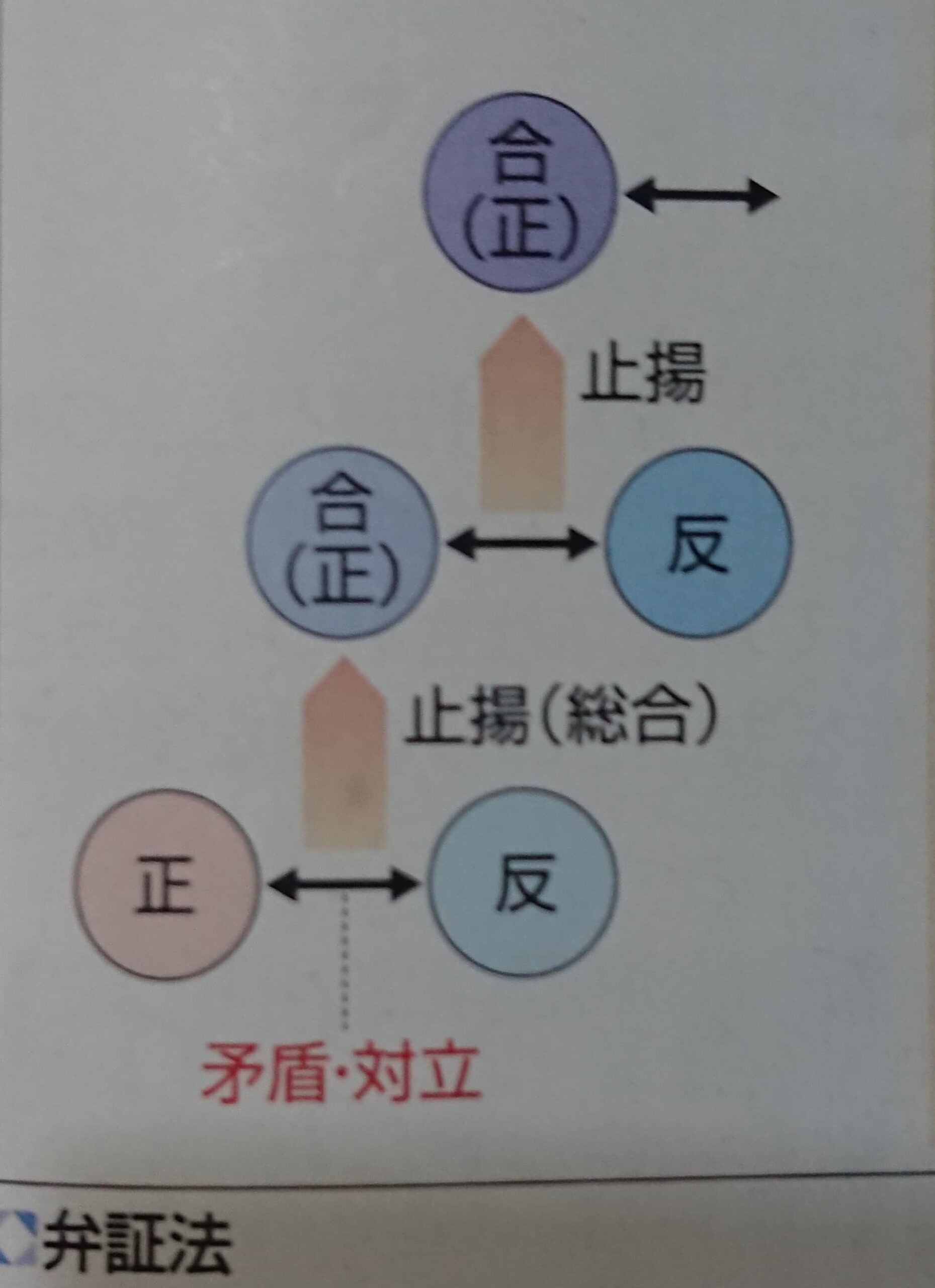 ヘーゲルの実践哲学 : 人倫としての理性的行為者性 ヘーゲルの実践哲学: 人倫としての理性的行為者性 (叢書